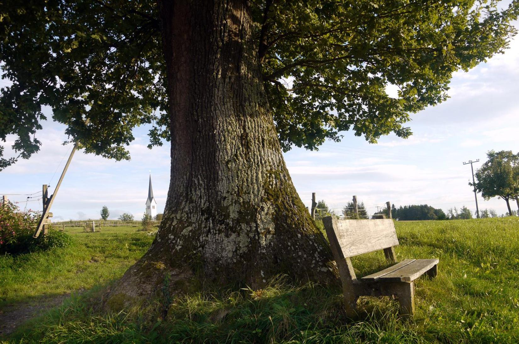 Vila Beim Danner Riedering Exteriér fotografie