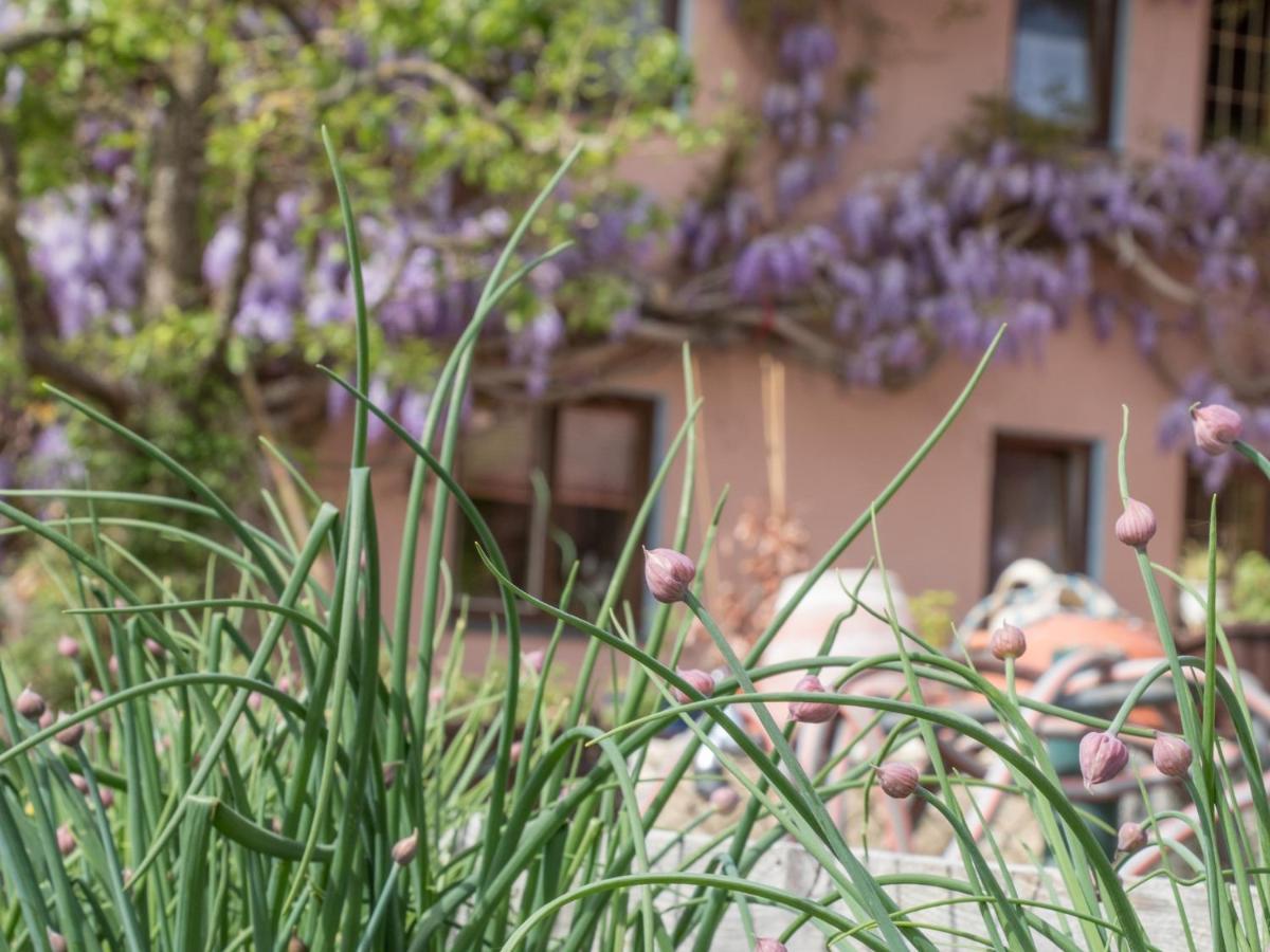 Vila Beim Danner Riedering Exteriér fotografie